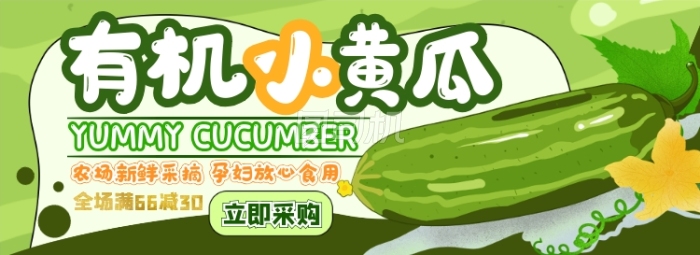 有机小黄瓜电商淘宝banner图 有机小黄瓜电商淘宝banner图