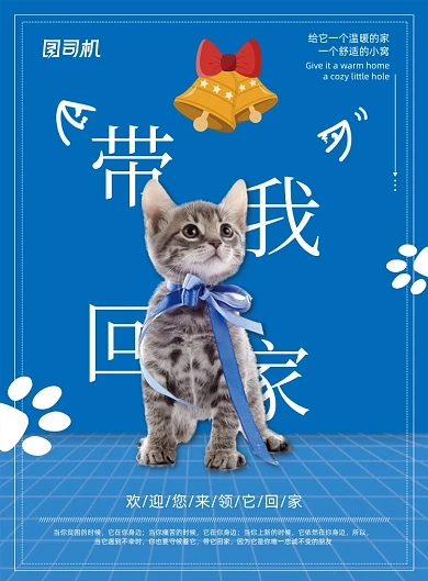创意简约宠物领养带我回家海报