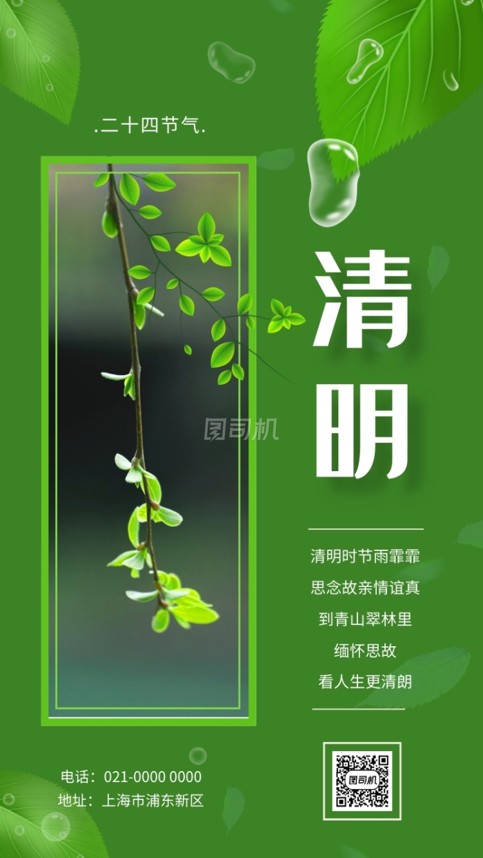 绿色小清新清明节气宣传手机海报 绿色小清新清明节气宣传手机海报