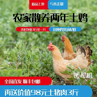 简约风农家散养土鸡乌鸡电商主图直通车