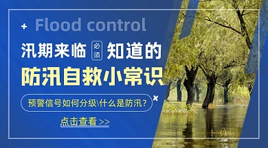 汛期自救小常识蓝色简约手机横图