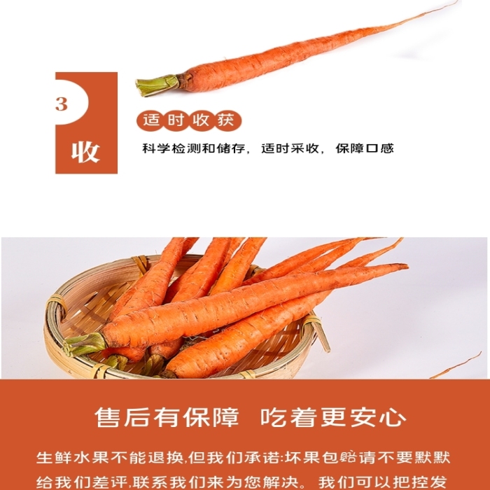 水果胡蘿卜蔬菜豐收季電商淘寶詳情頁
