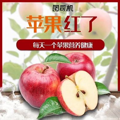 夏日新鲜水果主图模板橙子苹果