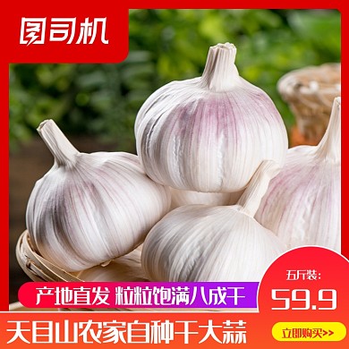 簡約風(fēng)農(nóng)家自種干大蒜蒜頭干蒜主圖