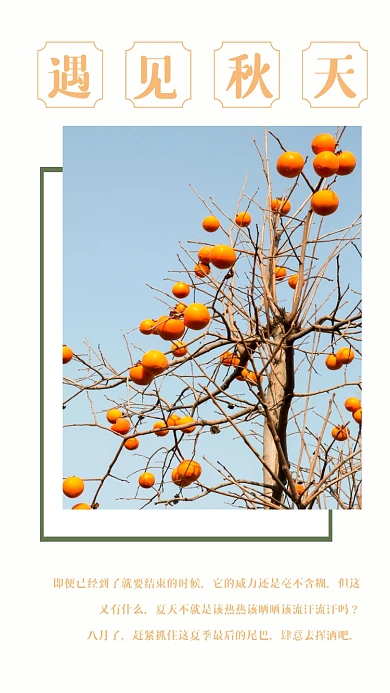 遇见秋天文艺橙色文章配图