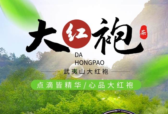 綠色大氣武夷山大紅袍茶葉海報