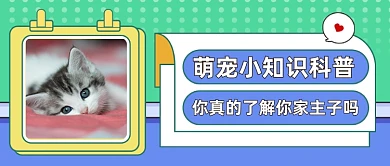 宠物小知识科普公众号首图