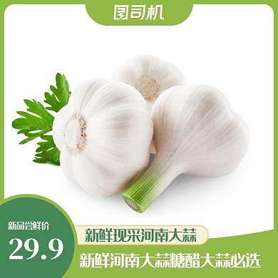 簡約風(fēng)農(nóng)家自種干大蒜蒜頭干蒜主圖
