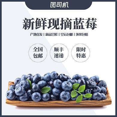 簡約水果火龍果藍莓葡萄草莓主圖