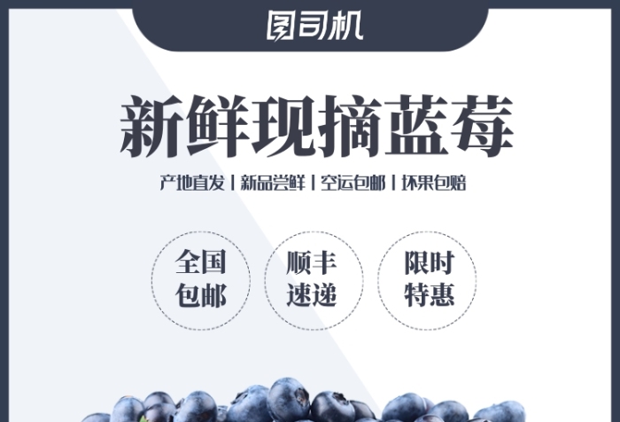 簡約水果火龍果藍(lán)莓葡萄草莓主圖