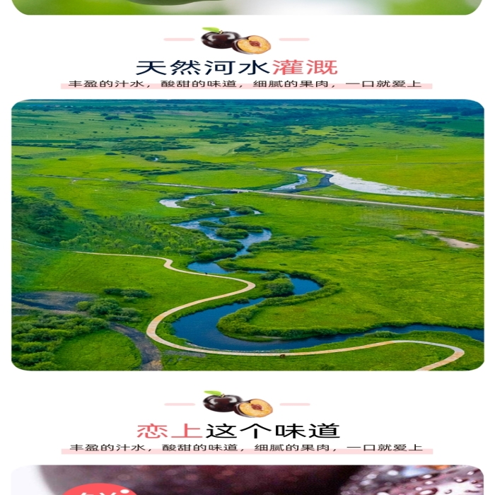 清新水果李子香甜食品詳情頁