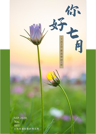 你好七月溫暖的紫色花朵攝影圖