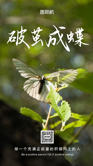 破繭成蝶正能量勵(lì)志手機(jī)海報(bào)