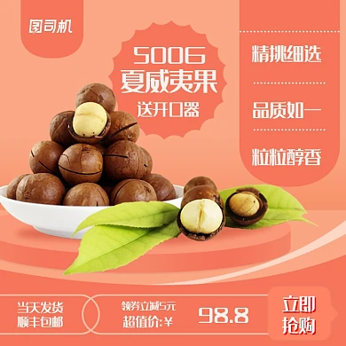 零食坚果干果夏威夷果吃货节促销主图