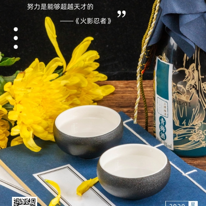 簽到日簽攝影圖文藝清新日系手機海報