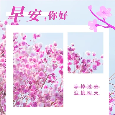 粉色小清新早安你好问候方形配图