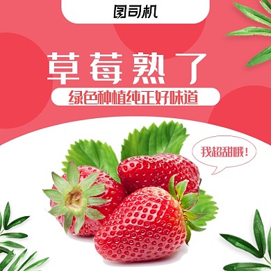 簡約水果火龍果藍莓葡萄草莓主圖