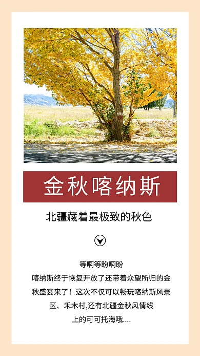 简约秋季旅行文章配图