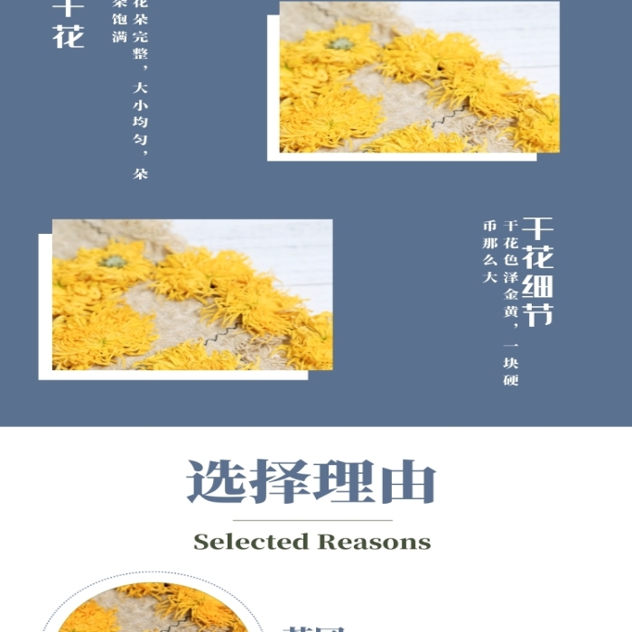 金絲皇菊菊花茶淘寶詳情頁模板