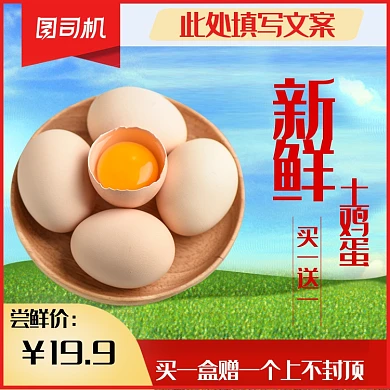 土鸡蛋食品杂货农产品主图直通车图