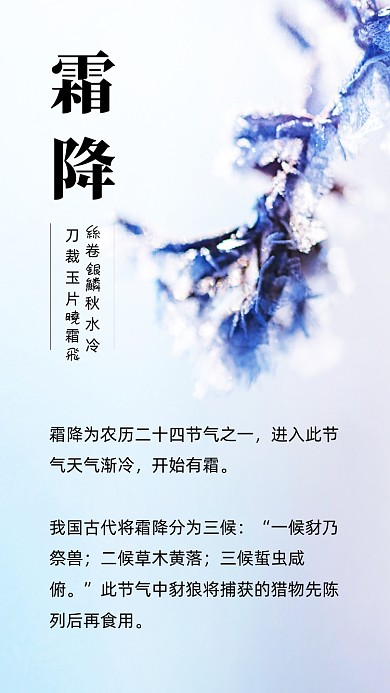 霜降節(jié)氣簡約時尚文章配圖