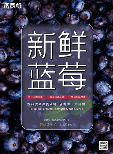 水果简约新鲜蓝莓有机促销海报