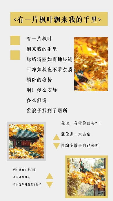 文艺秋天美景枫叶旅游配图