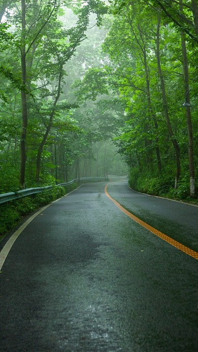 馬路霧氣道路綠蔭清爽手機(jī)壁紙