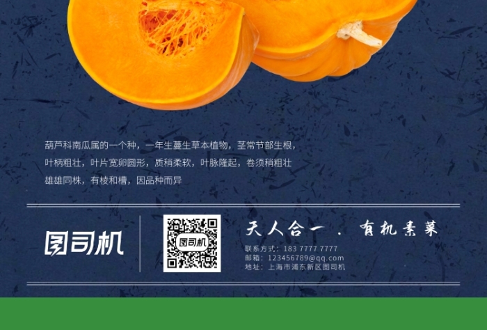 貝貝南瓜藍色實景促銷印刷海報