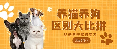 黄色简约风养猫养狗区别公众号首图