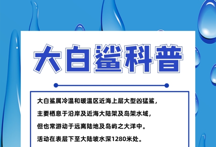 大白鯊科普卡通簡(jiǎn)約手機(jī)海報(bào)