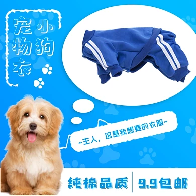 小狗宠物衣服可爱简约促销主图