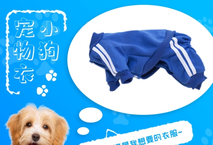 小狗寵物衣服可愛簡約促銷主圖