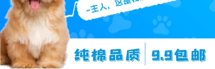 小狗寵物衣服可愛簡約促銷主圖