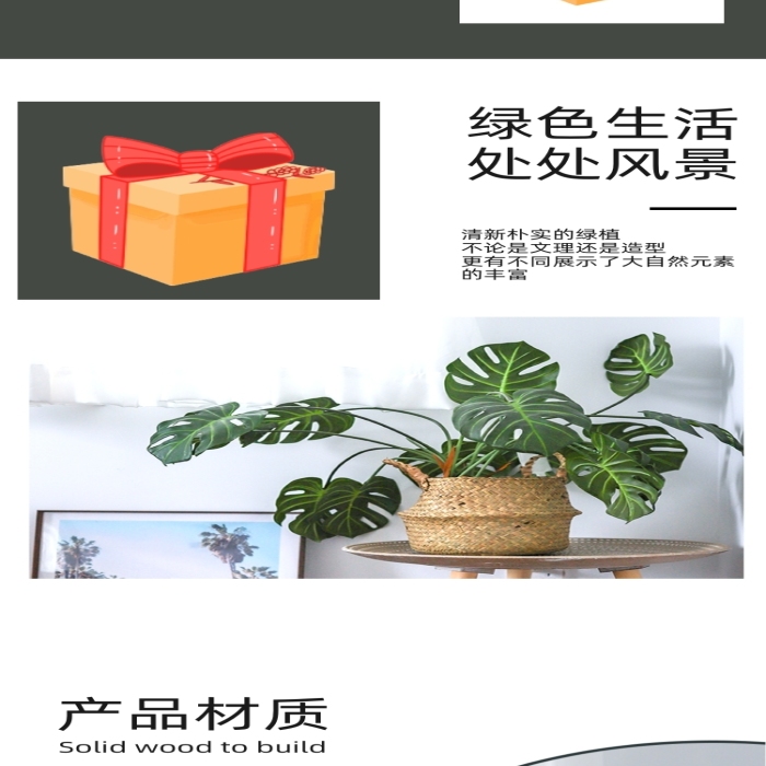 植物盆栽室內(nèi)綠植空氣清晰詳情頁