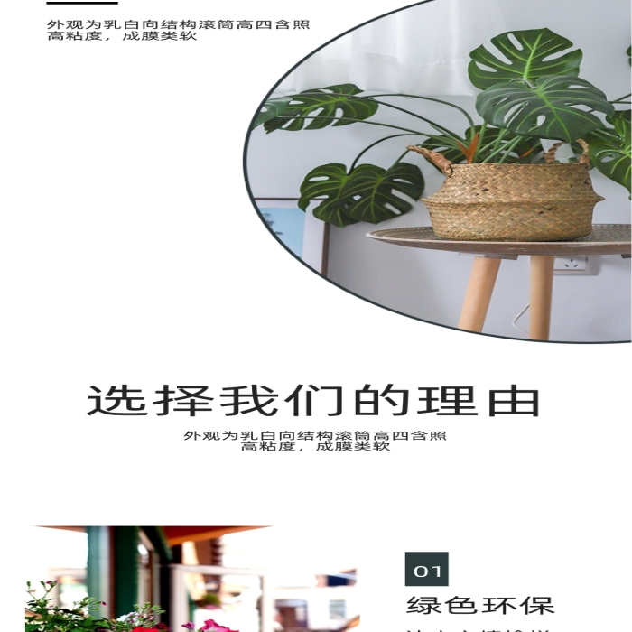 植物盆栽室內(nèi)綠植空氣清晰詳情頁