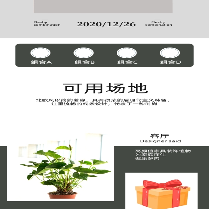 植物盆栽室內(nèi)綠植空氣清晰詳情頁