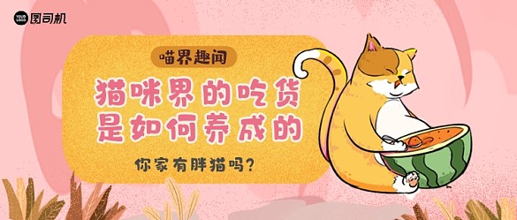 粉色卡通鎏金風喵界趣聞公眾號首圖