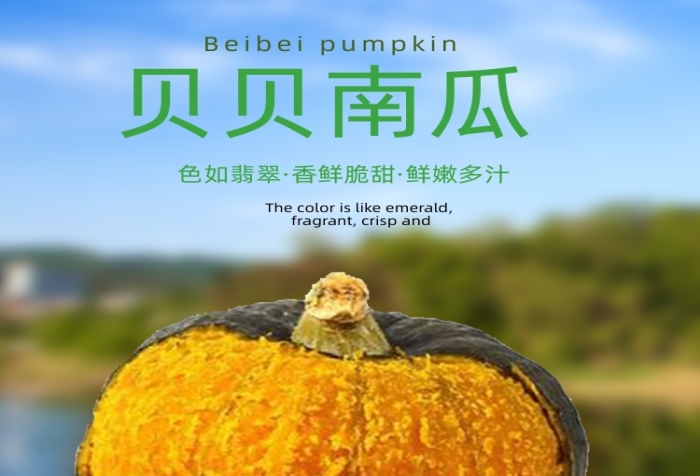 貝貝南瓜詳情頁(yè)電商時(shí)尚簡(jiǎn)約綠色香甜