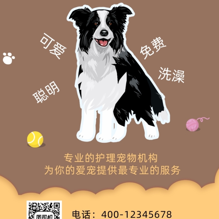 邊牧犬寵物店活動手機(jī)海報