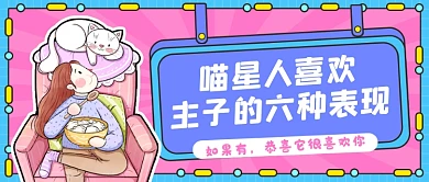 宠物小知识创意卡通公众号首图
