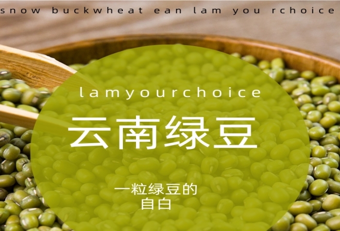 綠豆詳情頁電商簡約大氣時尚綠色綠豆湯