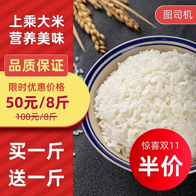 农产品大米时尚简约主图直通车