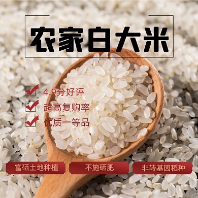 大米糧食農(nóng)副產(chǎn)品主圖直通車模板