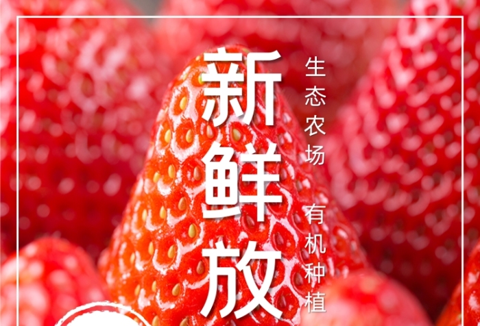 有機種植草莓新鮮放送限時促銷
