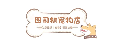 宠物店可爱插画公众号logo