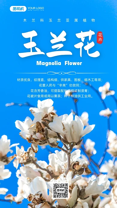 玉兰花花卉写实手机海报