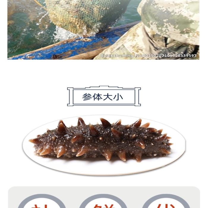 海參海鮮詳情頁電商時尚簡約大氣營養(yǎng)