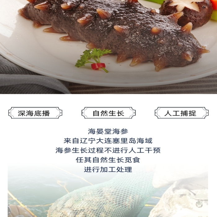 海參海鮮詳情頁電商時尚簡約大氣營養(yǎng)