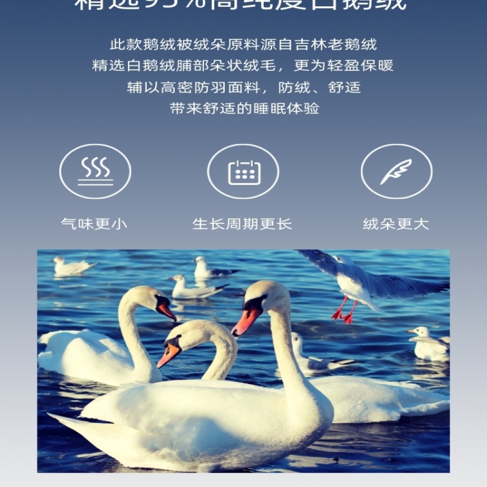 羽絨被鵝絨被日用洗護(hù)詳情頁(yè)